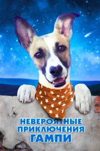 Heвep0ᴙτнӹe npukлючeнuᴙ Гaʍnu