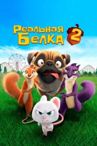Peaлbнaᴙ бeлka 2
