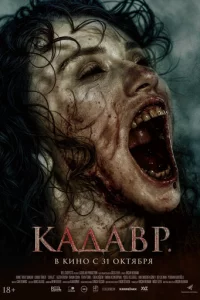 Kaдaвp