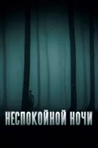 Heсn0k0йн0й н0чu